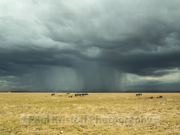 Amboseli National Park-1787