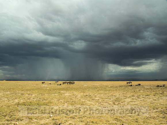 Amboseli National Park-1788