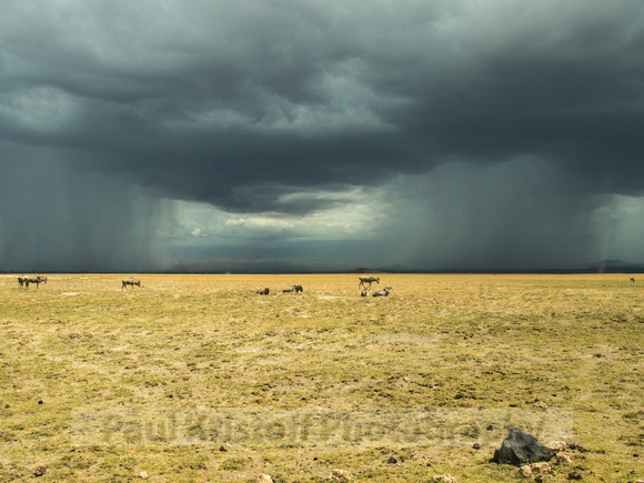 Amboseli National Park-1789