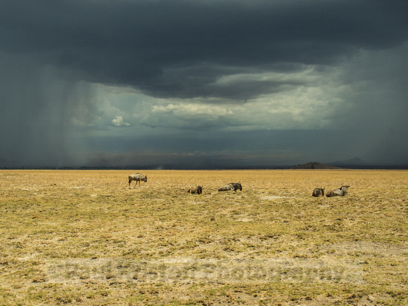 Amboseli National Park-1790