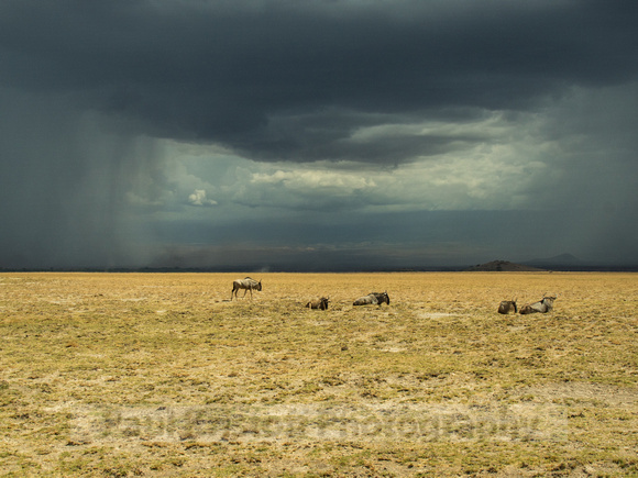 Amboseli National Park-1791