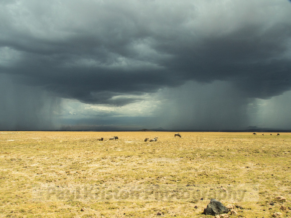 Amboseli National Park-1795