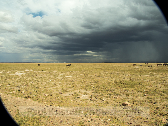 Amboseli National Park-1799