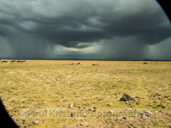 Amboseli National Park-1802