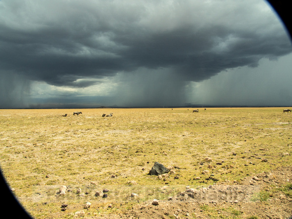 Amboseli National Park-1804