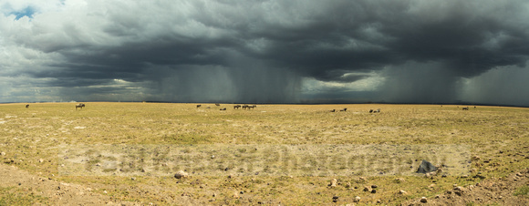 Amboseli National Park-1803