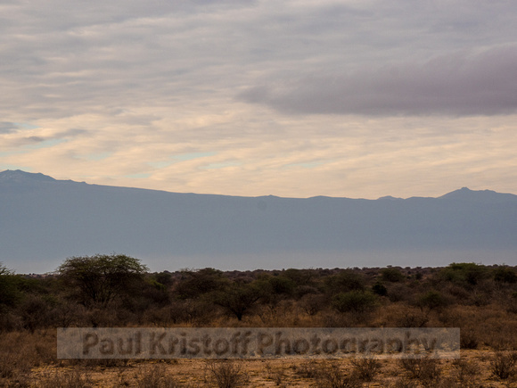 Amboseli National Park-1866