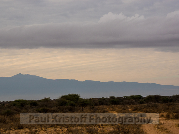 Amboseli National Park-1867