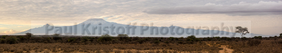 Amboseli National Park-1868