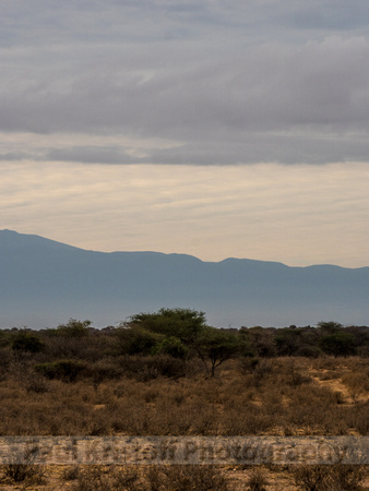 Amboseli National Park-1877