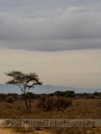 Amboseli National Park-1881