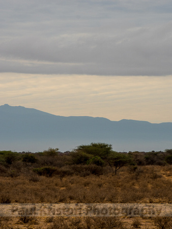 Amboseli National Park-1884