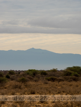 Amboseli National Park-1885