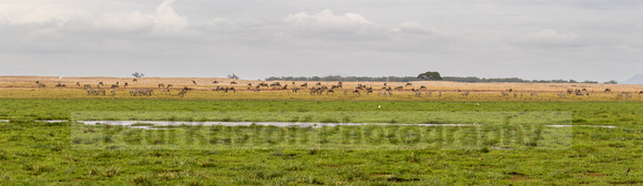 Amboseli National Park-1988
