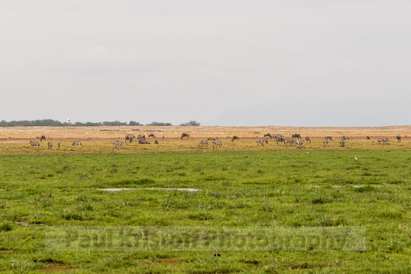 Amboseli National Park-1990