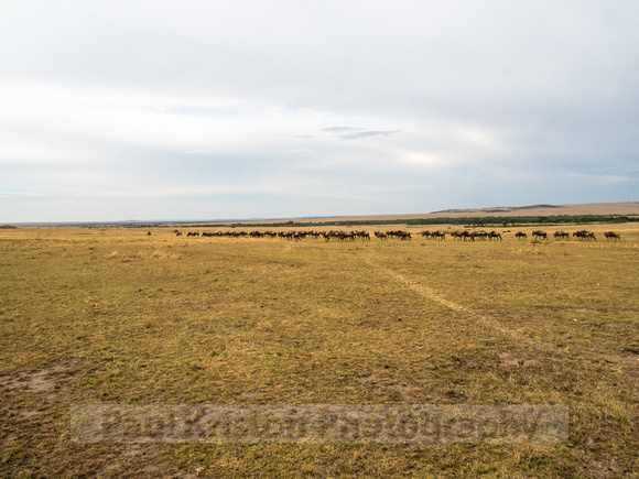 Maasai Mara National Park-2