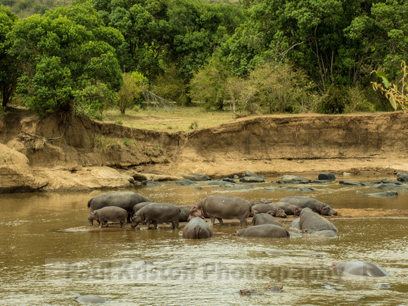 Maasai Mara National Park-256