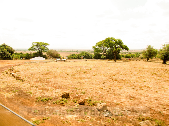 Nairobi National Park-13