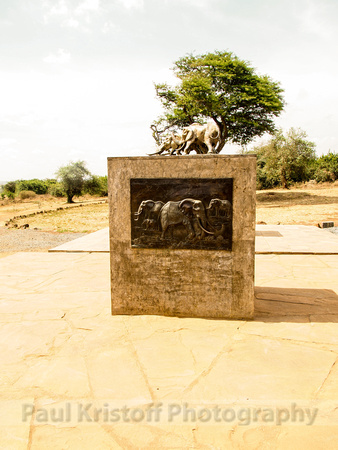 Nairobi National Park-17