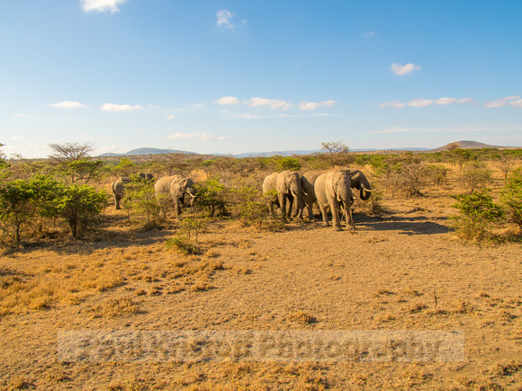 Ol Kinyei Masai Mara-768