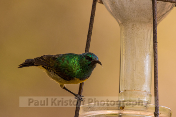 Nairobi Tented Camp-72