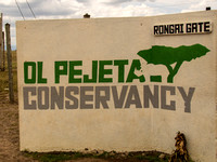 Ol Pejeta Conservancy-11
