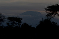Porini Amboseli Camp-17