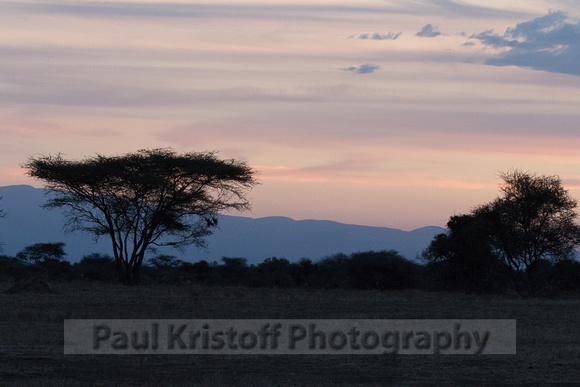 Porini Amboseli Camp-71