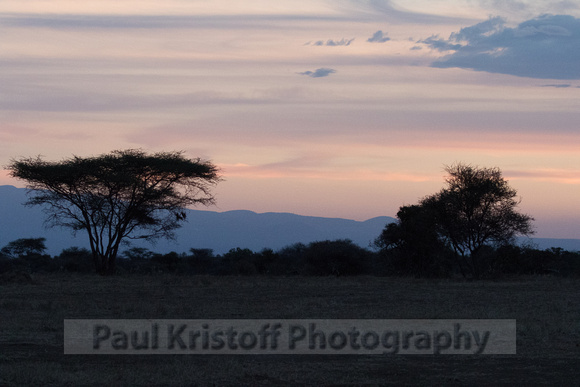 Porini Amboseli Camp-72