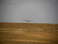 Kenya Airplane-333