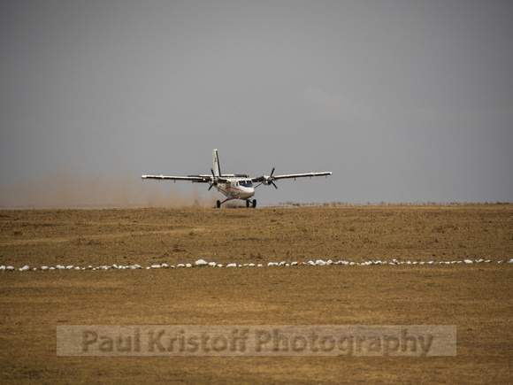 Kenya Airplane-339