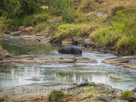 Olare Motorogi Conservancy-5395