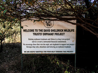 Sheldrick Elephant Orphanage-3