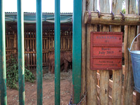 Sheldrick Elephant Orphanage-90