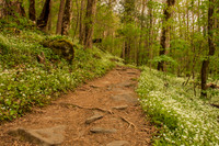 PorterCreekTrail-2283