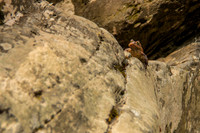 AbrahamsFalls-2202